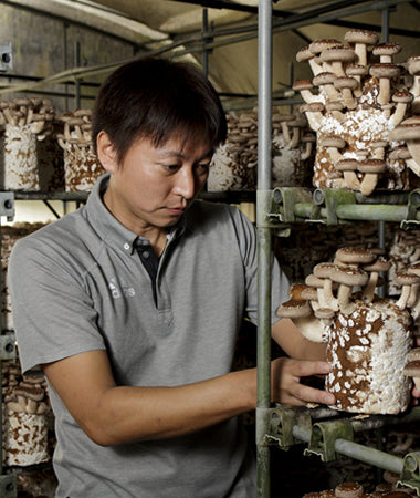 イクチ　アミタケ　　2kg イクチ アミタケ 2kg 楽天市場】アミタケの通販 イクチ アミタケ 2kg