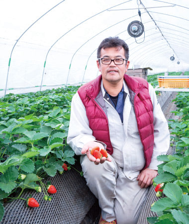 田口いちごファーム 田口 友章さん – 農産直売所あぜみち