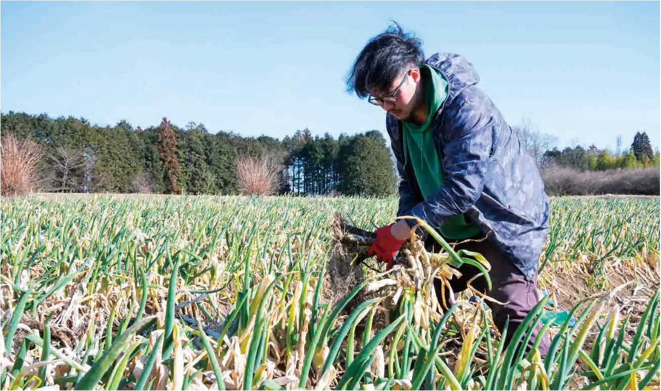 松本農園 – 農産直売所あぜみち