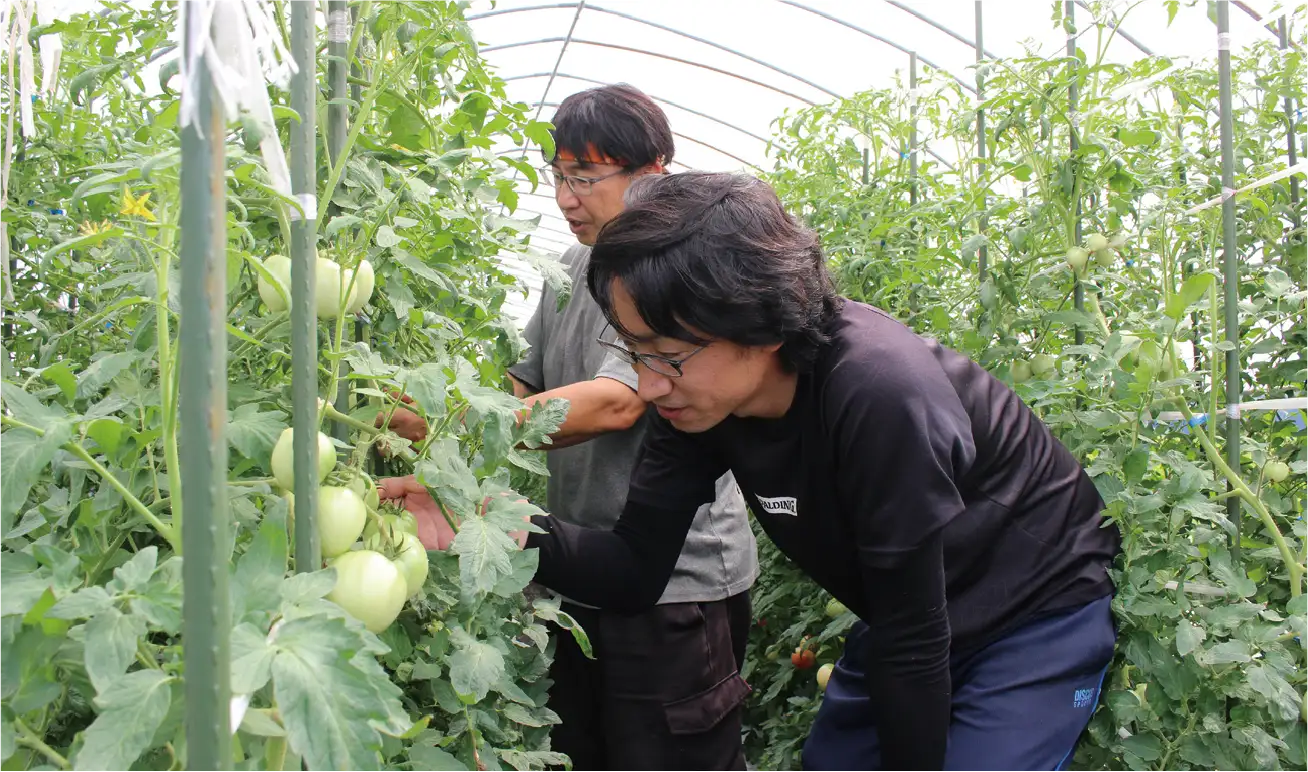 関戸農園 – 農産直売所あぜみち