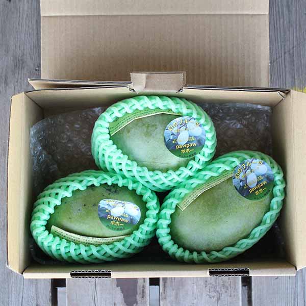 まぼろしの果物!? やんちゃ豚農園のポポー – 農産直売所あぜみち