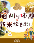 稲刈り体験・新米炊き出し momofarmコラボ企画 1組2名