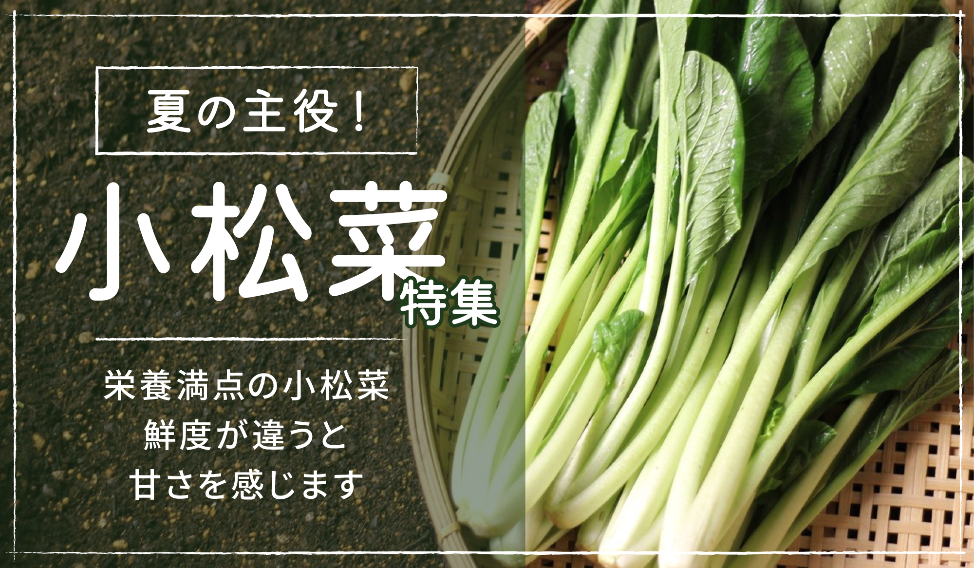 小松菜特集
