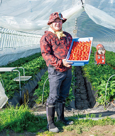 小山いちご農園　小山 雅史さん