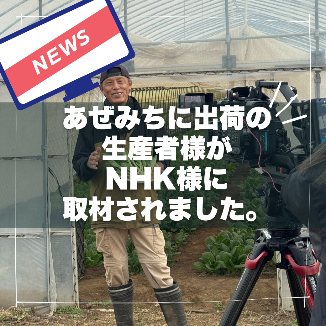 NHK「とちぎ630」でYoriちゃんファームが紹介されました