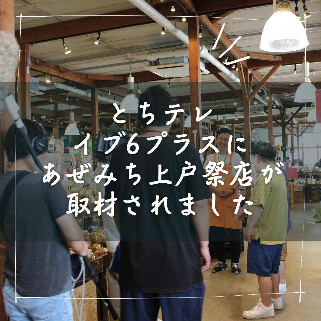 本日放送！とちテレ「イブ6プラス」様に取材いただきました