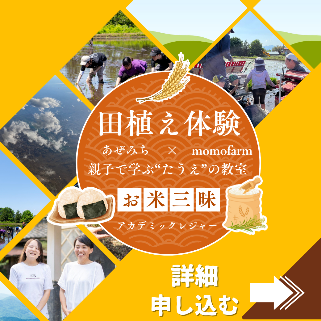 【体験予約受付中】親子で学ぶ“たうえ”の教室 〜おにぎりになるまで、ぜんぶ体験〜
