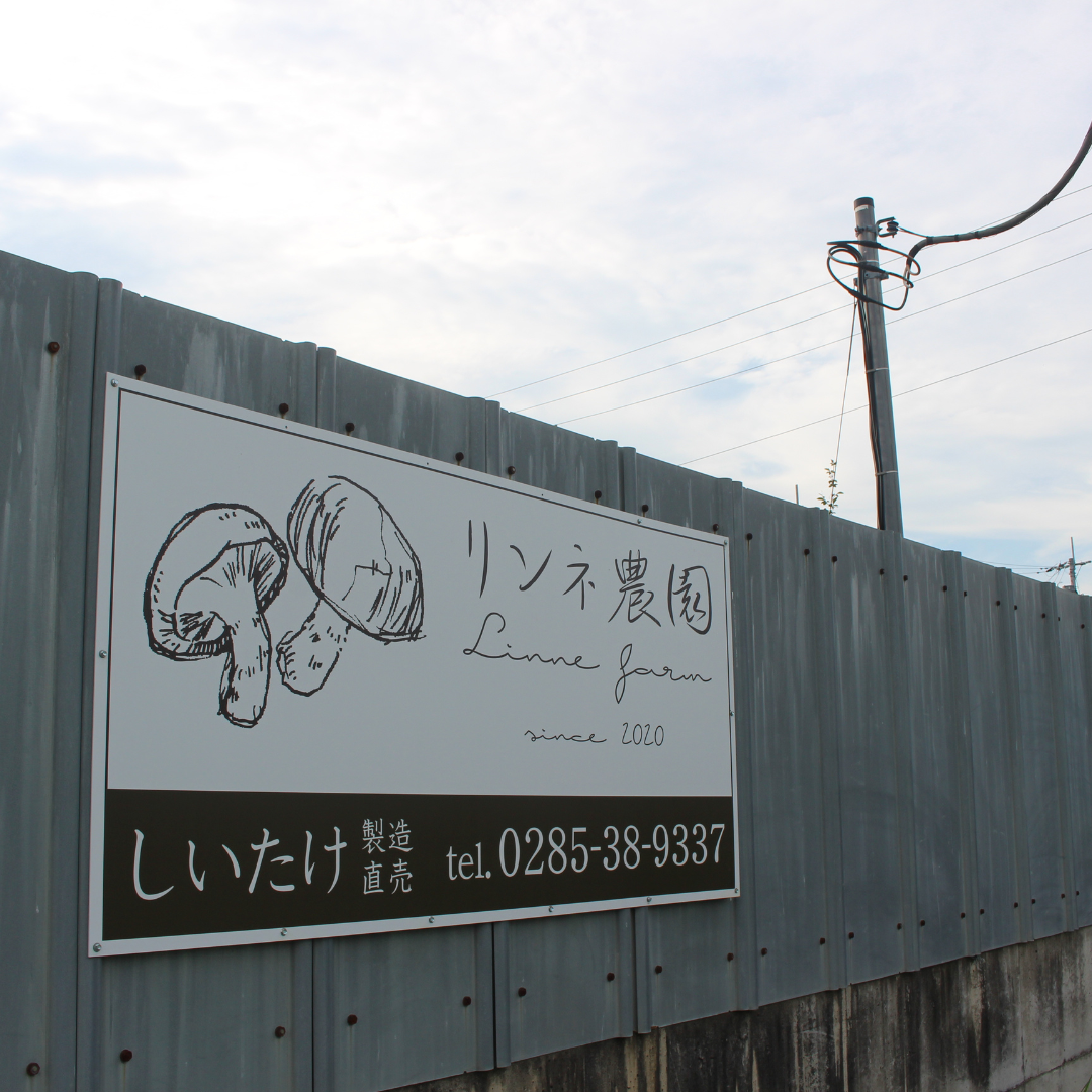 8月16日（土）開催！夏休みの自由研究も！親子で涼しく楽しむ「しいたけ収穫＆BBQ体験」＠リンネ農園