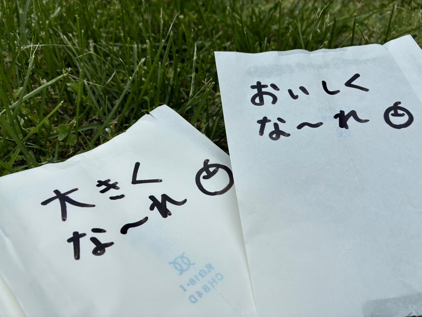 【農業体験企画第3弾！】6.14（土）　あぜみち×矢野観光リンゴ園×サトノシゴト　初夏の里山満喫体験　6月14日（土）