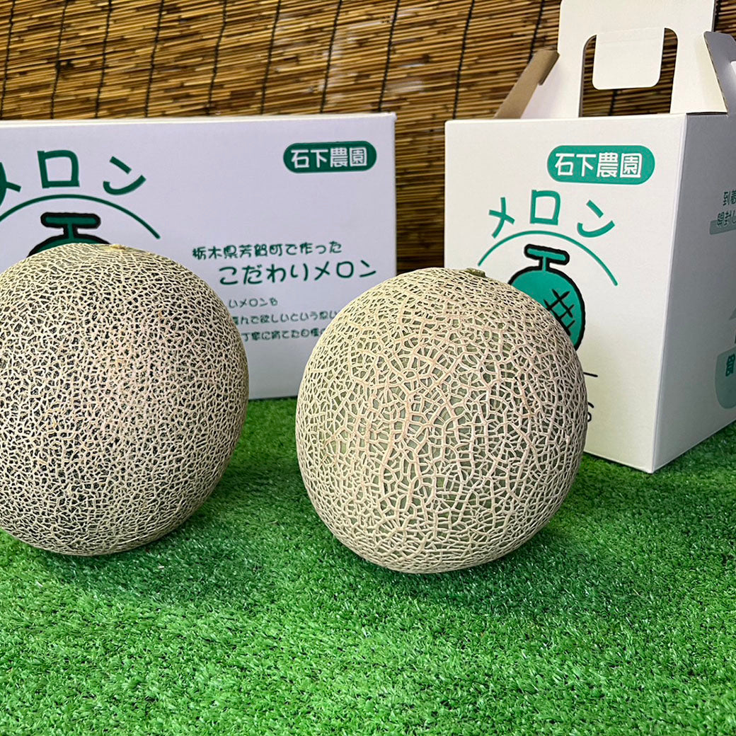 贈答用（秀品）】若き農家が作る！情熱のメロン – 農産直売所あぜみち