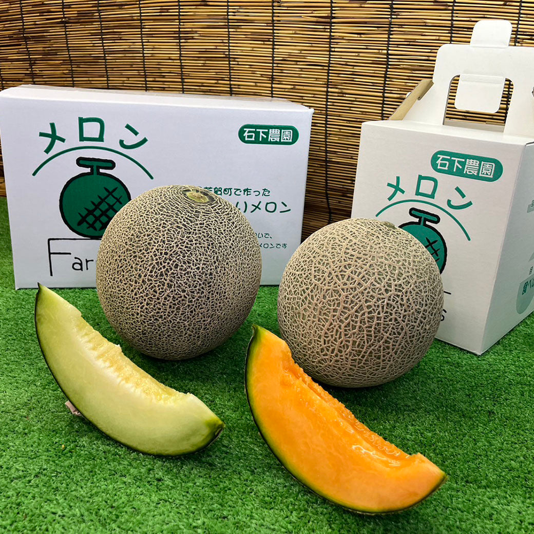 贈答用（秀品）】若き農家が作る！情熱のメロン – 農産直売所あぜみち